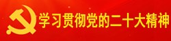 學(xué)習(xí)貫徹黨的二十大精神